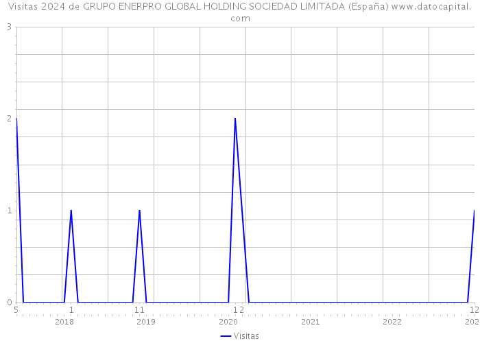 Visitas 2024 de GRUPO ENERPRO GLOBAL HOLDING SOCIEDAD LIMITADA (España) 