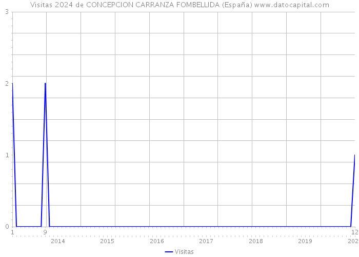Visitas 2024 de CONCEPCION CARRANZA FOMBELLIDA (España) 