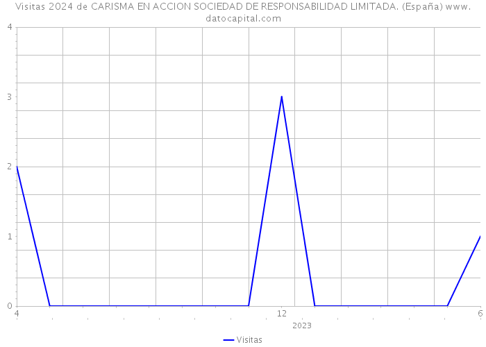 Visitas 2024 de CARISMA EN ACCION SOCIEDAD DE RESPONSABILIDAD LIMITADA. (España) 