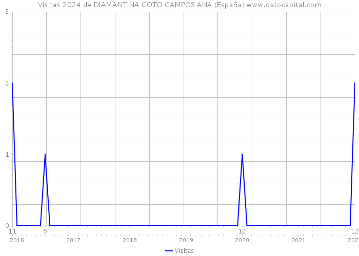 Visitas 2024 de DIAMANTINA COTO CAMPOS ANA (España) 