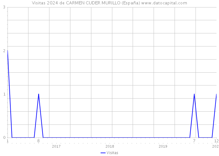 Visitas 2024 de CARMEN CUDER MURILLO (España) 