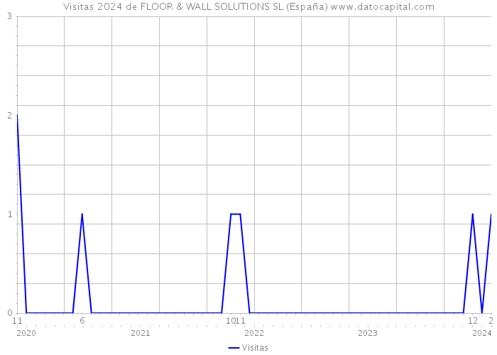 Visitas 2024 de FLOOR & WALL SOLUTIONS SL (España) 