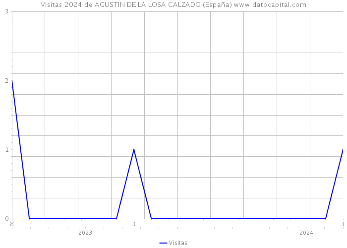 Visitas 2024 de AGUSTIN DE LA LOSA CALZADO (España) 