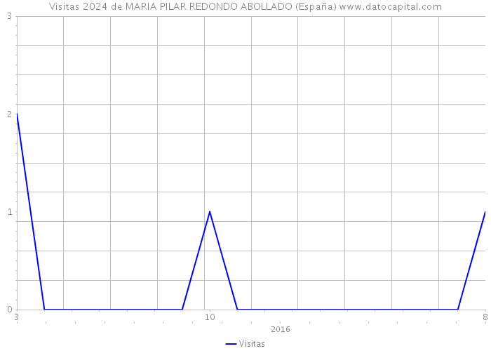 Visitas 2024 de MARIA PILAR REDONDO ABOLLADO (España) 