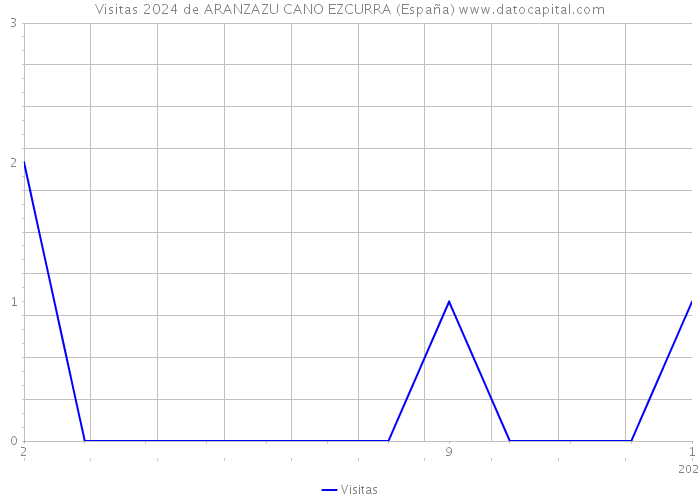 Visitas 2024 de ARANZAZU CANO EZCURRA (España) 