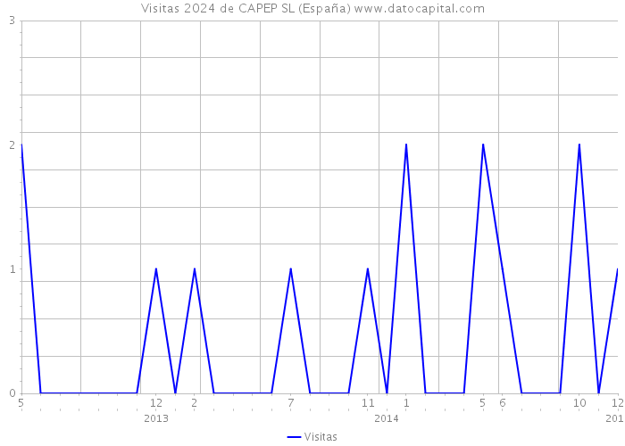 Visitas 2024 de CAPEP SL (España) 