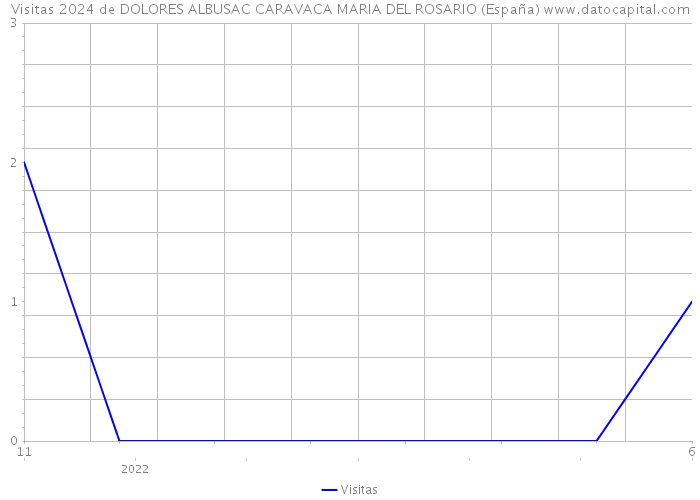 Visitas 2024 de DOLORES ALBUSAC CARAVACA MARIA DEL ROSARIO (España) 