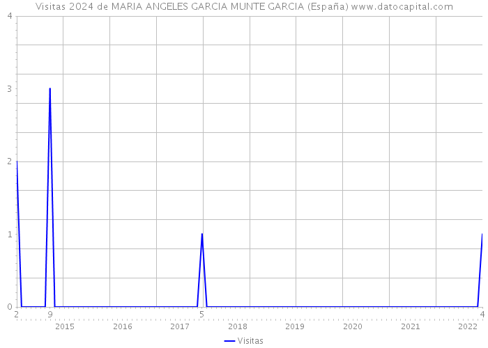 Visitas 2024 de MARIA ANGELES GARCIA MUNTE GARCIA (España) 