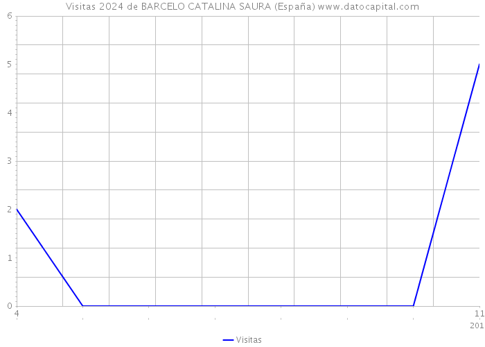 Visitas 2024 de BARCELO CATALINA SAURA (España) 