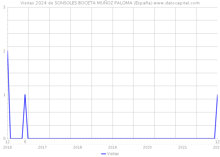 Visitas 2024 de SONSOLES BOCETA MUÑOZ PALOMA (España) 