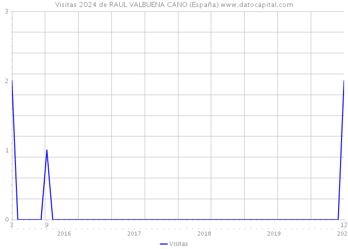 Visitas 2024 de RAUL VALBUENA CANO (España) 