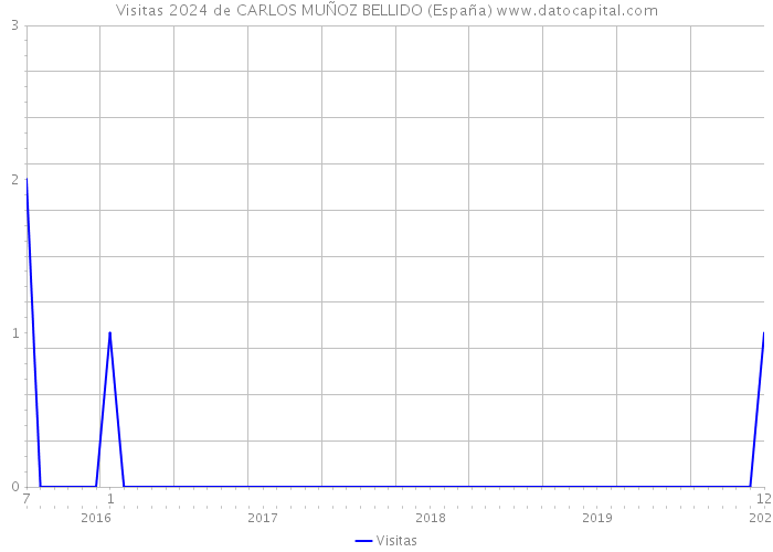 Visitas 2024 de CARLOS MUÑOZ BELLIDO (España) 