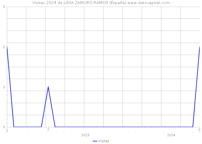 Visitas 2024 de LIDIA ZAMORO RAMOS (España) 