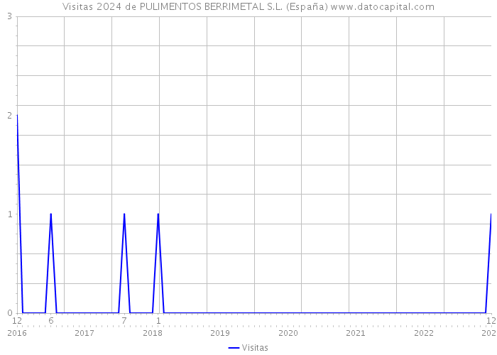 Visitas 2024 de PULIMENTOS BERRIMETAL S.L. (España) 