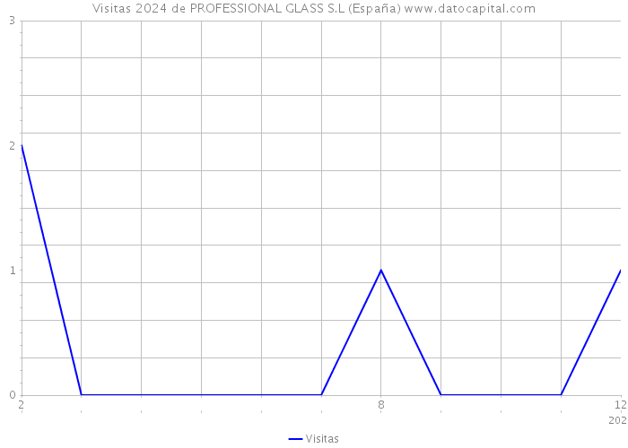 Visitas 2024 de PROFESSIONAL GLASS S.L (España) 