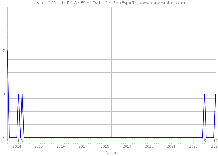 Visitas 2024 de PINONES ANDALUCIA SA (España) 
