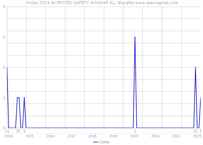Visitas 2024 de PROTEC SAFETY AUXILIAR S.L. (España) 