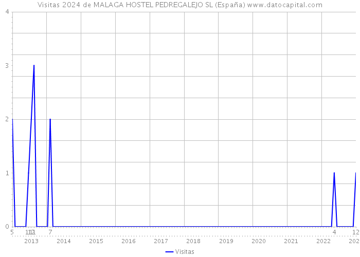 Visitas 2024 de MALAGA HOSTEL PEDREGALEJO SL (España) 