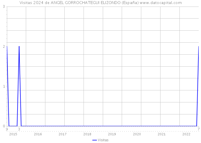 Visitas 2024 de ANGEL GORROCHATEGUI ELIZONDO (España) 