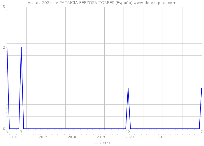 Visitas 2024 de PATRICIA BERZOSA TORRES (España) 