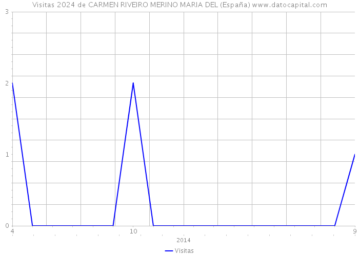Visitas 2024 de CARMEN RIVEIRO MERINO MARIA DEL (España) 