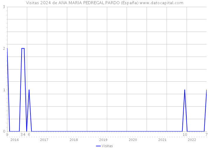 Visitas 2024 de ANA MARIA PEDREGAL PARDO (España) 