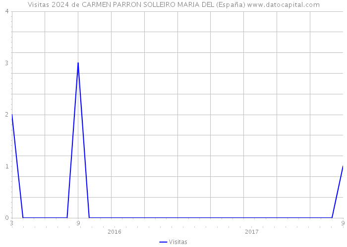 Visitas 2024 de CARMEN PARRON SOLLEIRO MARIA DEL (España) 