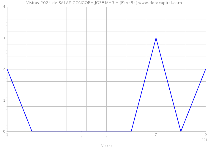 Visitas 2024 de SALAS GONGORA JOSE MARIA (España) 