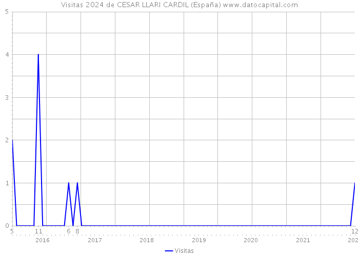 Visitas 2024 de CESAR LLARI CARDIL (España) 