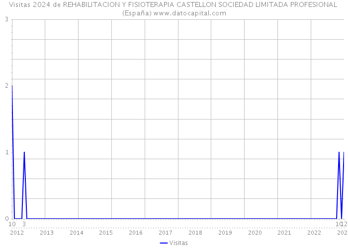Visitas 2024 de REHABILITACION Y FISIOTERAPIA CASTELLON SOCIEDAD LIMITADA PROFESIONAL (España) 