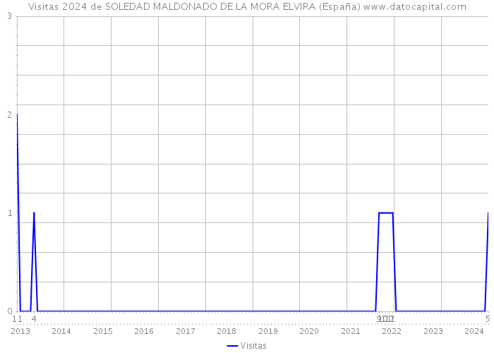 Visitas 2024 de SOLEDAD MALDONADO DE LA MORA ELVIRA (España) 