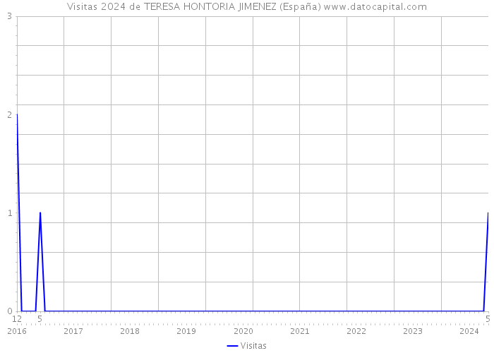Visitas 2024 de TERESA HONTORIA JIMENEZ (España) 