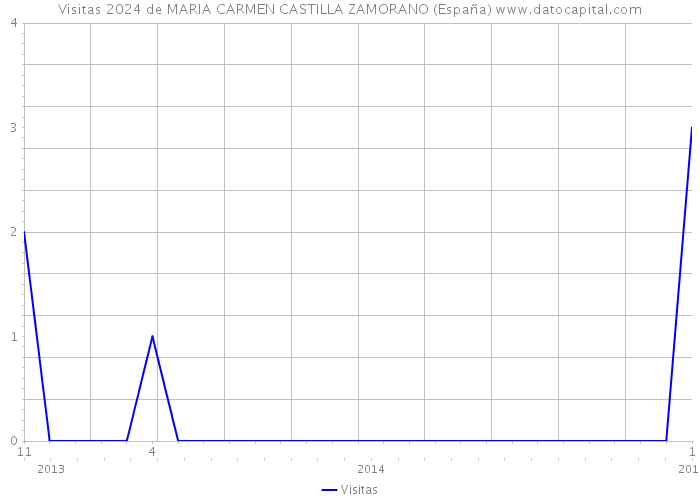 Visitas 2024 de MARIA CARMEN CASTILLA ZAMORANO (España) 