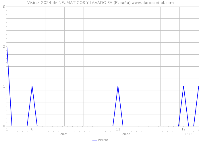 Visitas 2024 de NEUMATICOS Y LAVADO SA (España) 