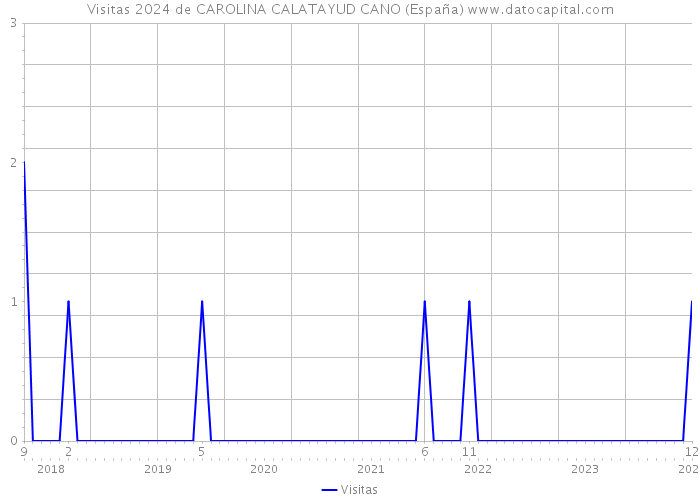 Visitas 2024 de CAROLINA CALATAYUD CANO (España) 