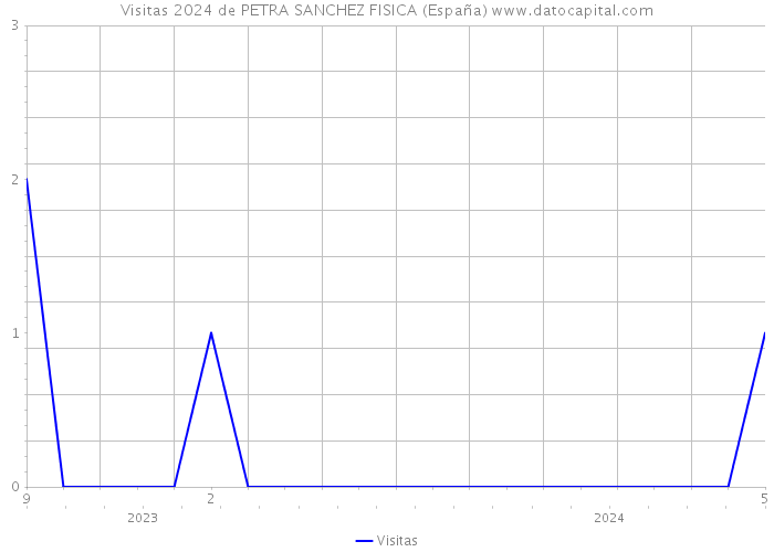 Visitas 2024 de PETRA SANCHEZ FISICA (España) 
