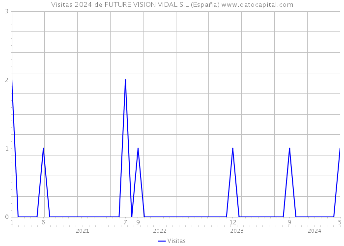 Visitas 2024 de FUTURE VISION VIDAL S.L (España) 