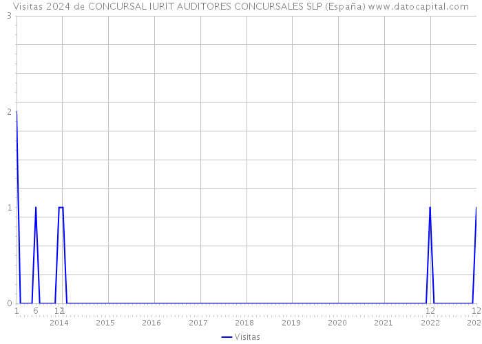 Visitas 2024 de CONCURSAL IURIT AUDITORES CONCURSALES SLP (España) 
