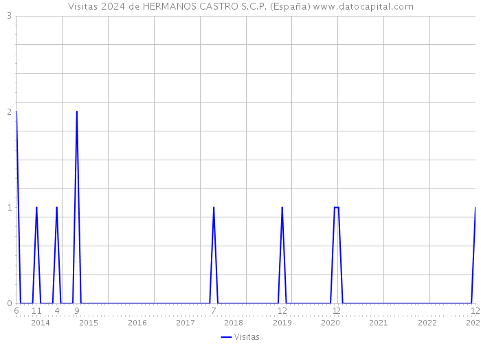 Visitas 2024 de HERMANOS CASTRO S.C.P. (España) 
