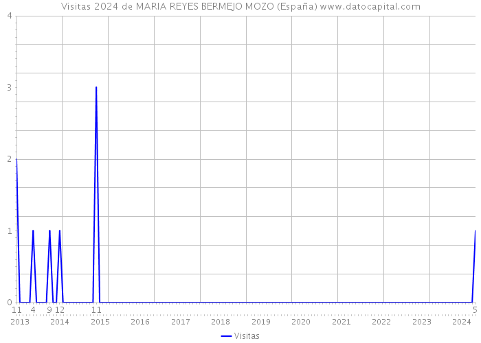 Visitas 2024 de MARIA REYES BERMEJO MOZO (España) 