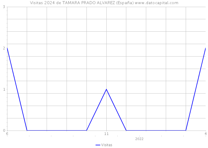 Visitas 2024 de TAMARA PRADO ALVAREZ (España) 