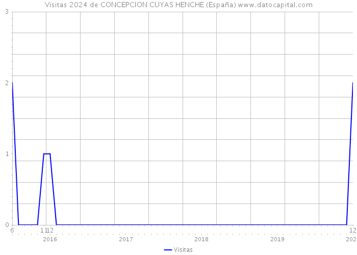 Visitas 2024 de CONCEPCION CUYAS HENCHE (España) 