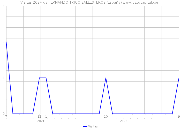 Visitas 2024 de FERNANDO TRIGO BALLESTEROS (España) 