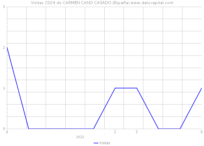 Visitas 2024 de CARMEN CANO CASADO (España) 