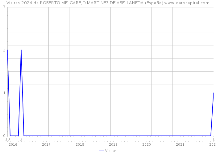 Visitas 2024 de ROBERTO MELGAREJO MARTINEZ DE ABELLANEDA (España) 