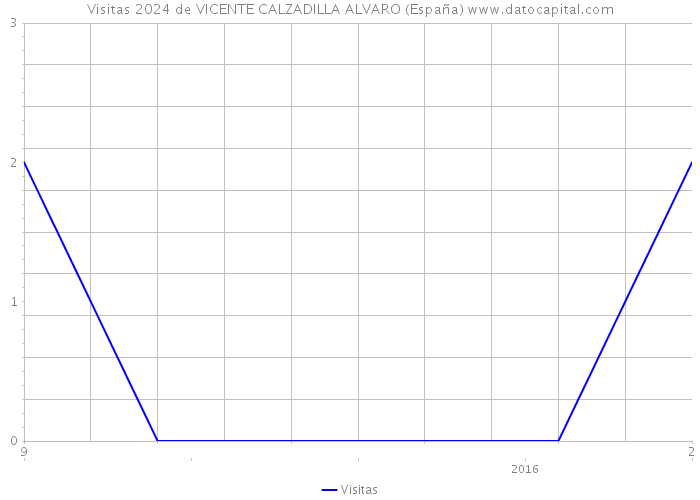 Visitas 2024 de VICENTE CALZADILLA ALVARO (España) 