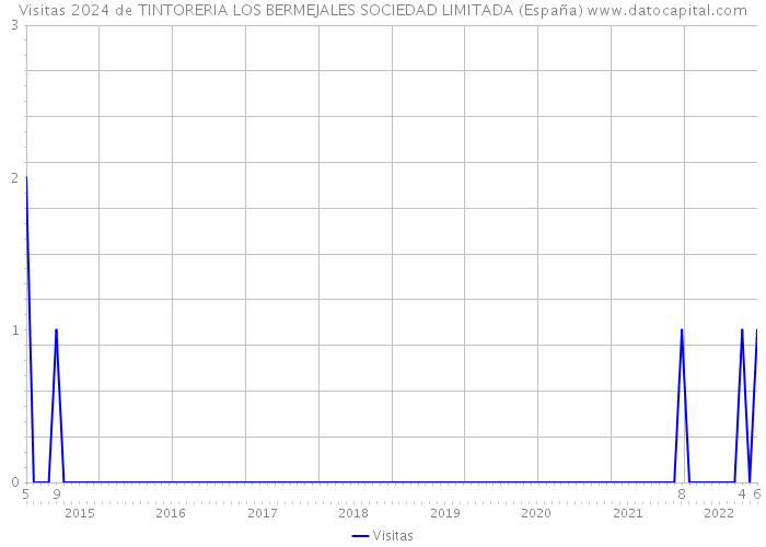 Visitas 2024 de TINTORERIA LOS BERMEJALES SOCIEDAD LIMITADA (España) 