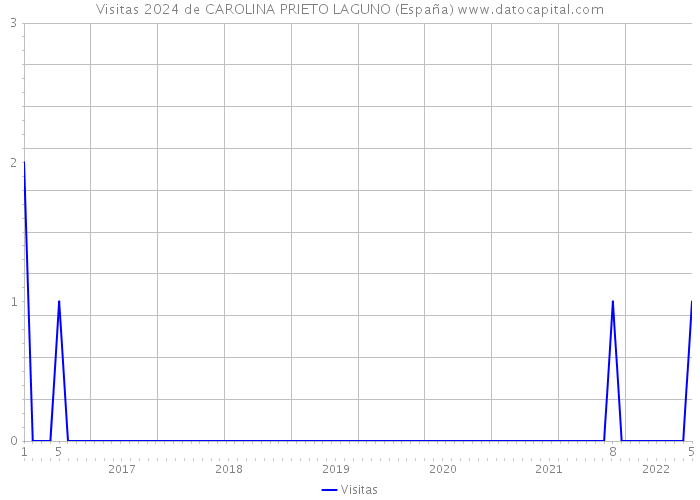 Visitas 2024 de CAROLINA PRIETO LAGUNO (España) 