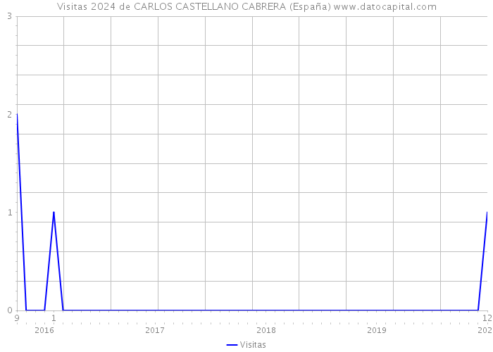 Visitas 2024 de CARLOS CASTELLANO CABRERA (España) 
