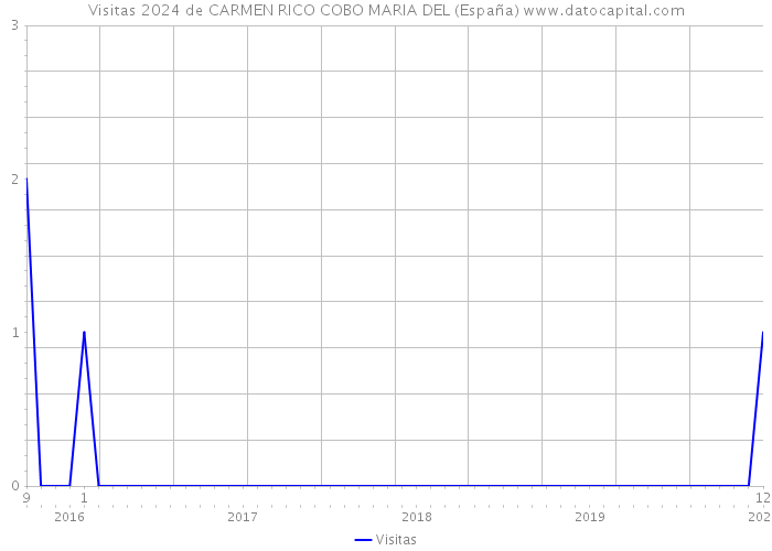 Visitas 2024 de CARMEN RICO COBO MARIA DEL (España) 